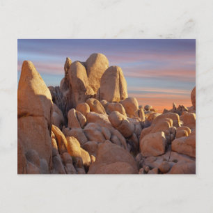 USA, California, Joshua Tree National Park Postcard
