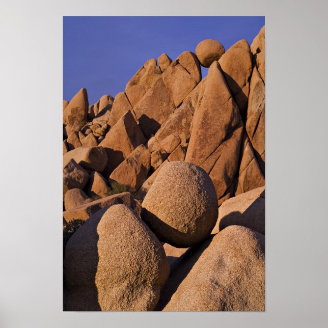USA, California, Joshua Tree National Park. Poster (Front)