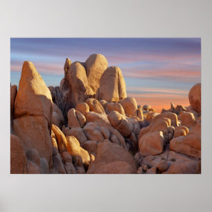 USA, California, Joshua Tree National Park Poster