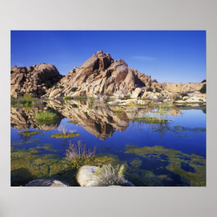 USA, California, Joshua Tree National Park, Poster