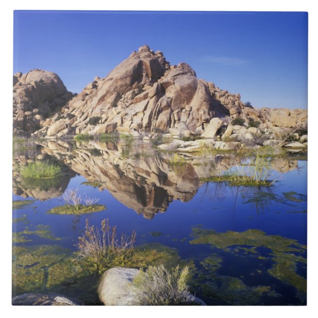 USA, California, Joshua Tree National Park, Tile (Front)