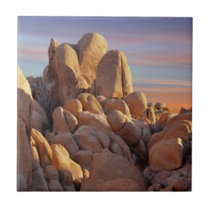USA, California, Joshua Tree National Park Tile