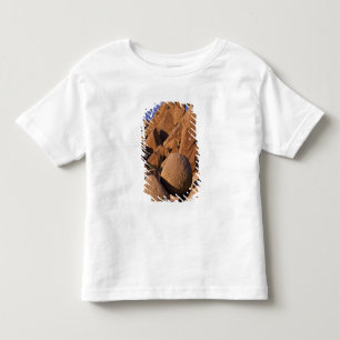 USA, California, Joshua Tree National Park. Toddler T-Shirt