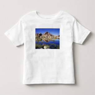 USA, California, Joshua Tree National Park, Toddler T-Shirt