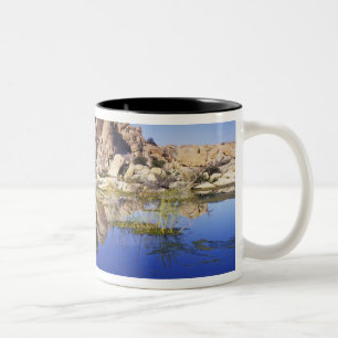 USA, California, Joshua Tree National Park, Two-Tone Coffee Mug