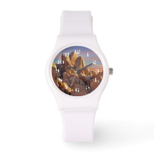 USA, California, Joshua Tree National Park Watch