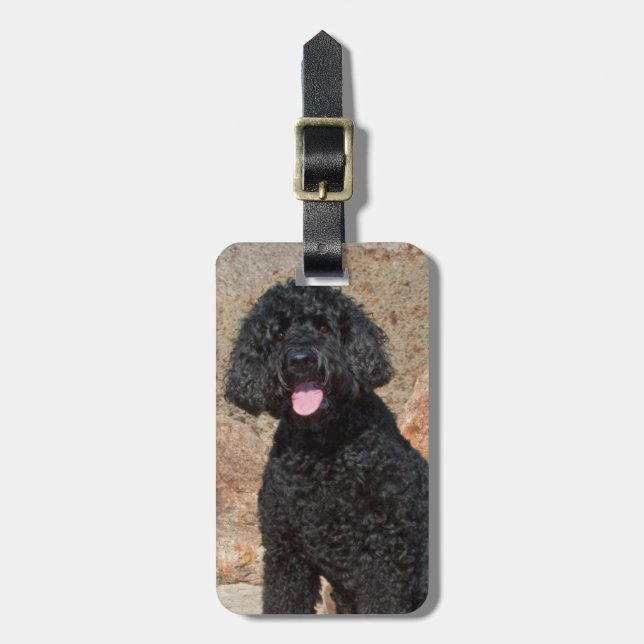 USA, California. Labradoodle Sitting Luggage Tag (Front Vertical)