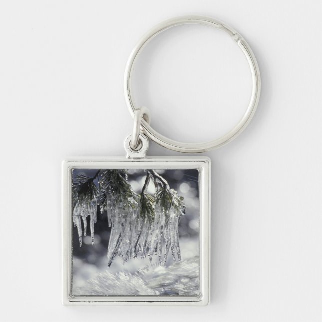 USA, California, Lake Tahoe. Icicles over Key Ring (Front)