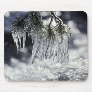 USA, California, Lake Tahoe. Icicles over Mouse Mat