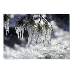 USA, California, Lake Tahoe. Icicles over Photo Print