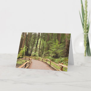 USA, California, Marin County, Muir Woods Card