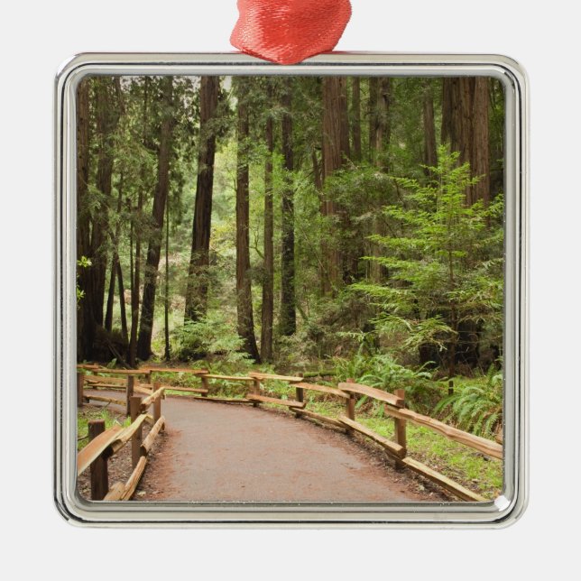 USA, California, Marin County, Muir Woods Metal Tree Decoration (Front)