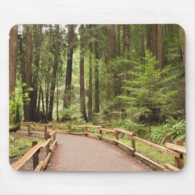 USA, California, Marin County, Muir Woods Mouse Mat (Front)
