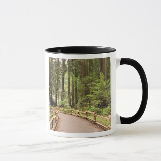 USA, California, Marin County, Muir Woods Mug (Right)