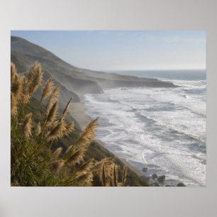 USA, California, Mendocino Coast Poster