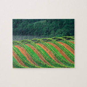 USA, California, Mendocino County, a trellised Jigsaw Puzzle