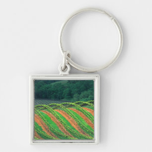 USA, California, Mendocino County, a trellised Key Ring