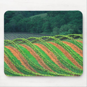 USA, California, Mendocino County, a trellised Mouse Mat