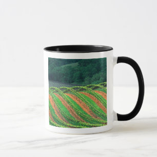 USA, California, Mendocino County, a trellised Mug