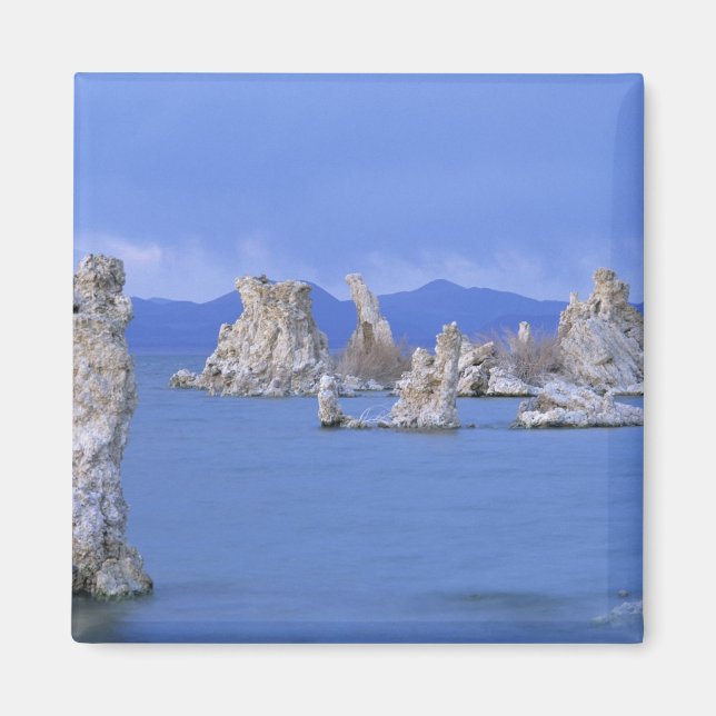 USA, California, Mono Lake Magnet (Front)