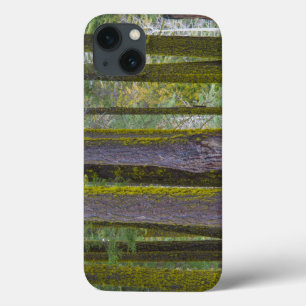 USA, California. Moss Covered Tree Trunks iPhone 13 Case
