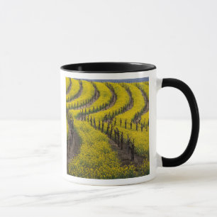 USA, California, Napa Valley, Los Carneros Ava. Mug