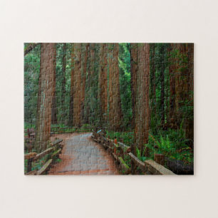USA, California. Path Among Redwoods In Muir Jigsaw Puzzle