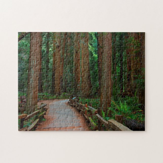 USA, California. Path Among Redwoods In Muir Jigsaw Puzzle (Horizontal)