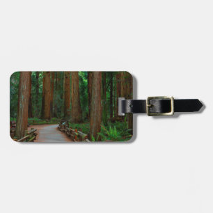 USA, California. Path Among Redwoods In Muir Luggage Tag