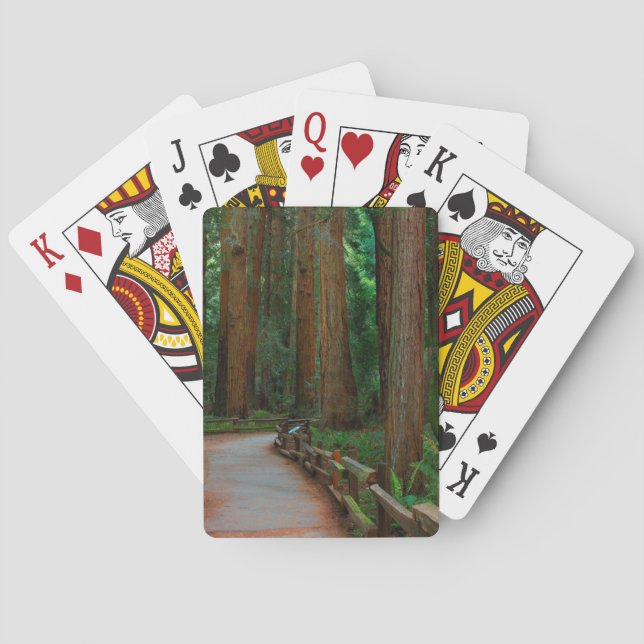 USA, California. Path Among Redwoods In Muir Playing Cards (Back)