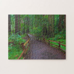 USA, California. Path Among Redwoods Jigsaw Puzzle