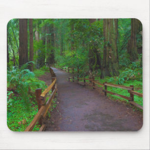 USA, California. Path Among Redwoods Mouse Mat