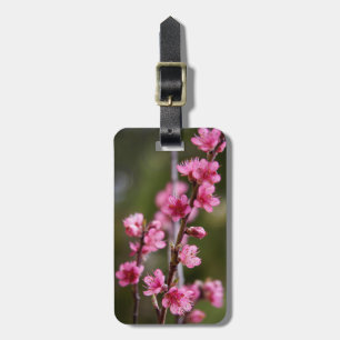 USA, California. Pink Blooms On A Tree Luggage Tag