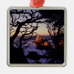 USA, California, Point Lobos, cypress tree and Metal Tree Decoration