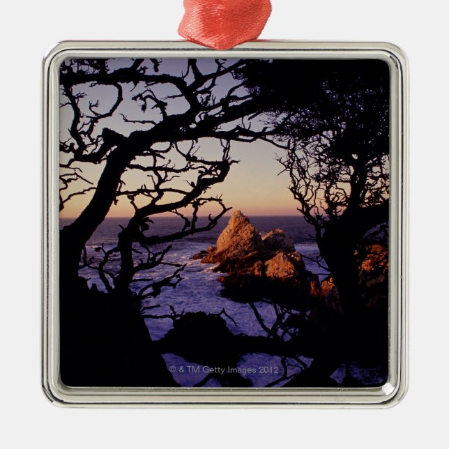 USA, California, Point Lobos, cypress tree and Metal Tree Decoration (Front)