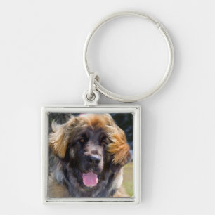 USA, California. Portrait Of Leonberger Sitting Key Ring