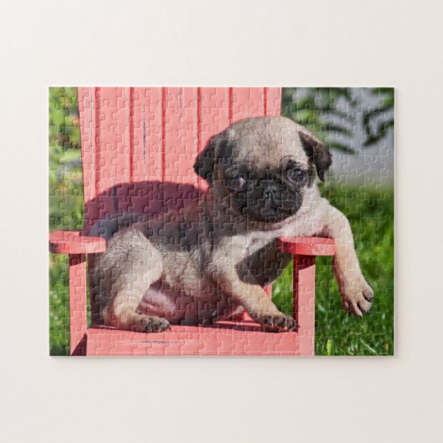 USA, California. Pug Puppy Slouching Jigsaw Puzzle (Horizontal)