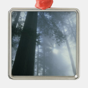 USA, California, Redwood National Park, Del Metal Tree Decoration