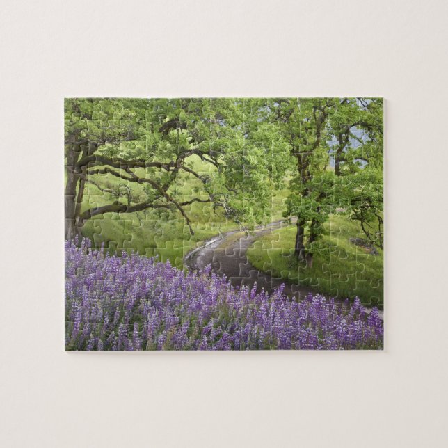 USA, California, Redwood National Park. Dirt Jigsaw Puzzle (Horizontal)