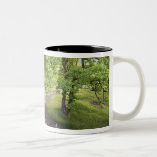 USA, California, Redwood National Park. Dirt Two-Tone Coffee Mug