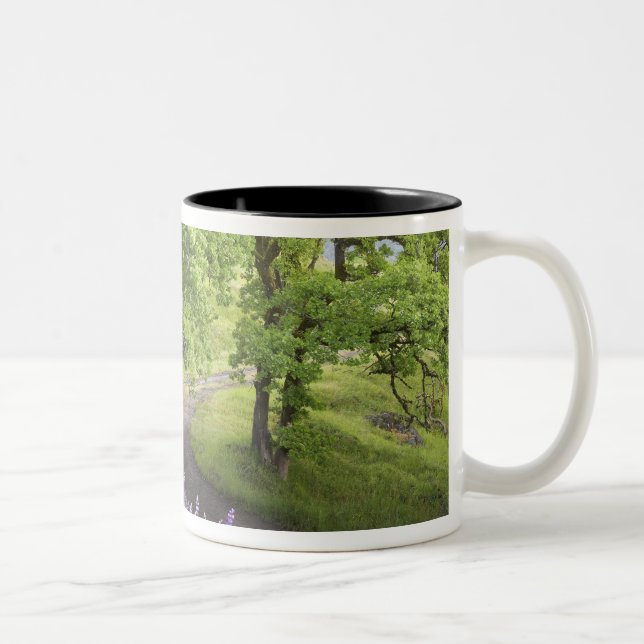 USA, California, Redwood National Park. Dirt Two-Tone Coffee Mug (Right)