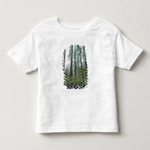 USA, California, Redwood NP. Fog filters the Toddler T-Shirt