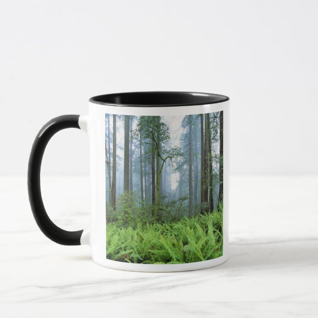 USA, California, Redwood NP. Redwood trees Mug (Left)
