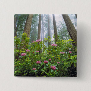 USA, California, Redwood NP. Rhododendron 15 Cm Square Badge