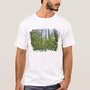 USA, California, Redwood NP. Rhododendron T-Shirt