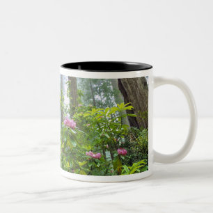 USA, California, Redwood NP. Rhododendron Two-Tone Coffee Mug