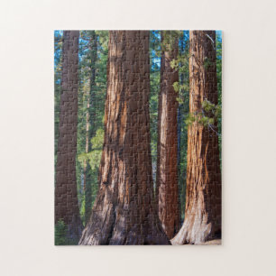 USA, California. Redwood Tree Trunks, Mariposa Jigsaw Puzzle