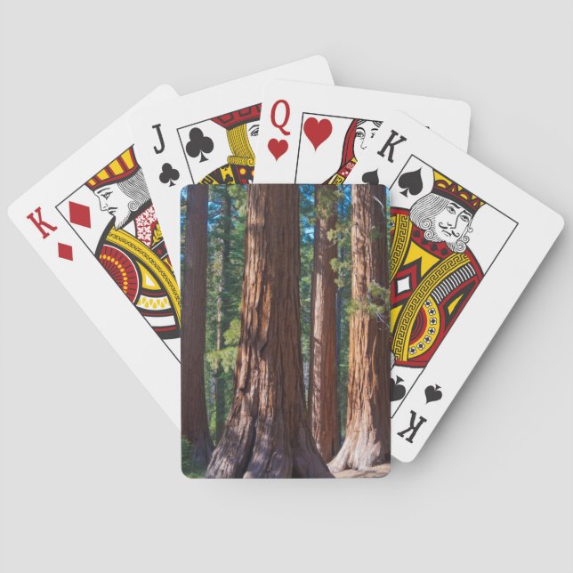USA, California. Redwood Tree Trunks, Mariposa Playing Cards (Back)