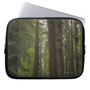 USA, California, road through Redwood forest 2 Laptop Sleeve