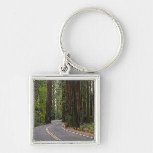 USA, California, road through Redwood forest Key Ring